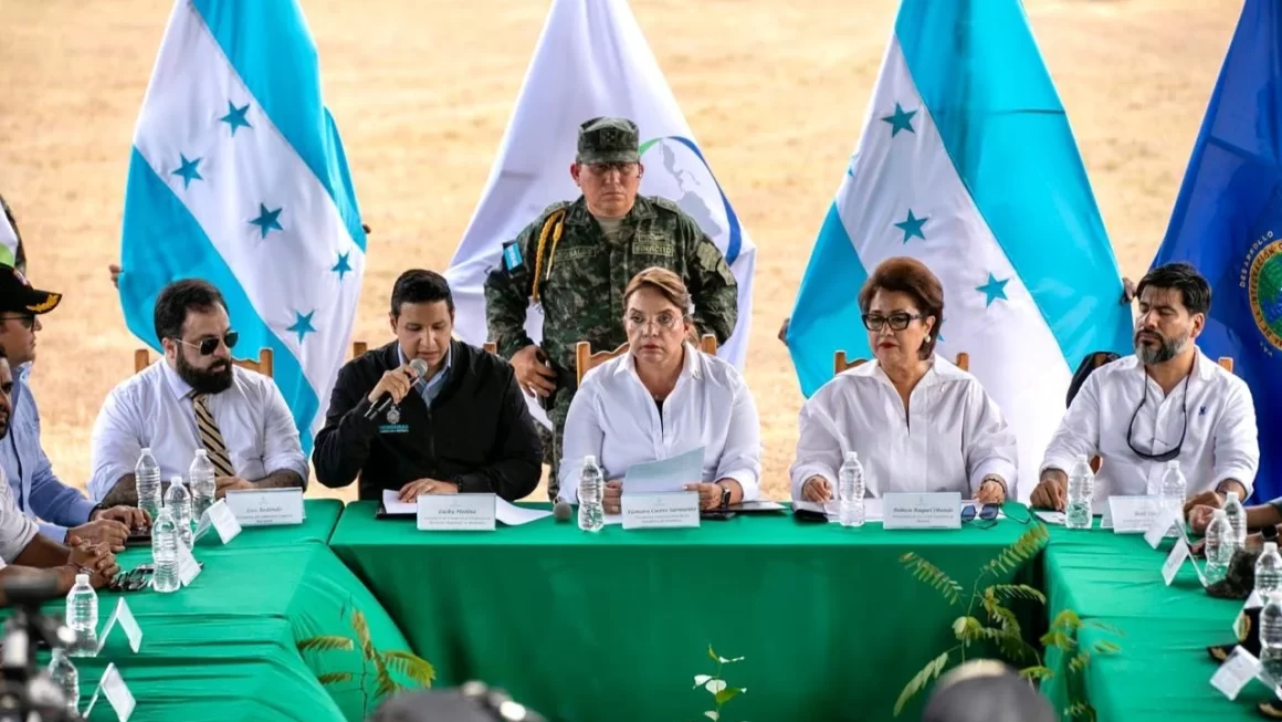 Consejo Nacional de Defensa y Seguridad declara emergencia ambiental 
