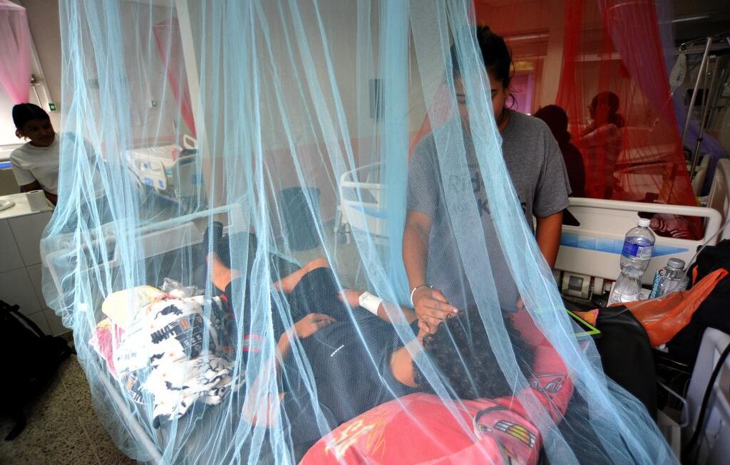 Alerta por aumento de casos de Dengue en el país 