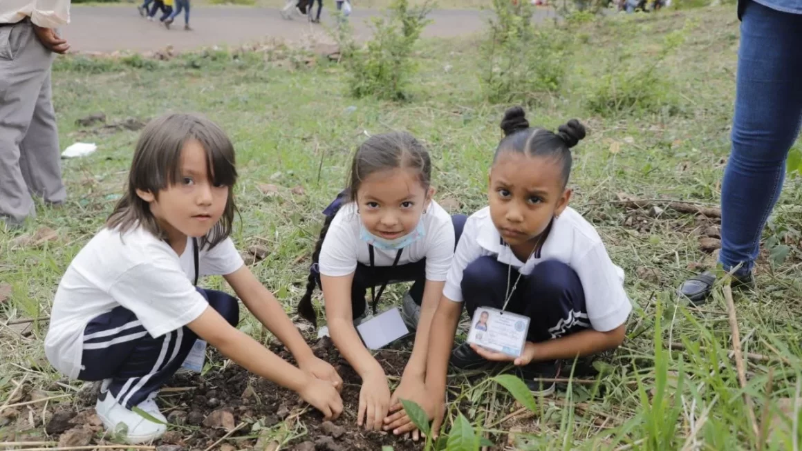 Alcaldía Capitalina inicia agresiva campaña de reforestación en Distrito Central