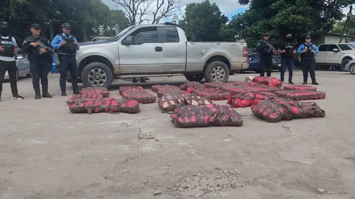 Más de mil libras de marihuana decomisan en Olancho tras operativo de la Policía Nacional