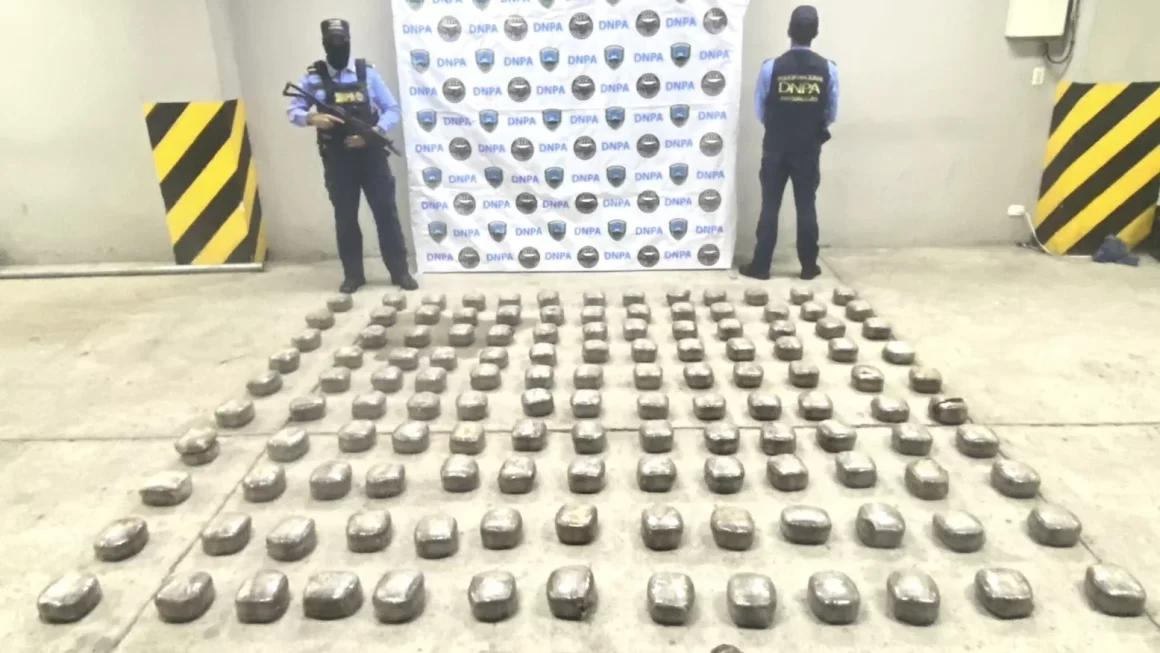 Incautan 135 paquetes de marihuana en Olancho