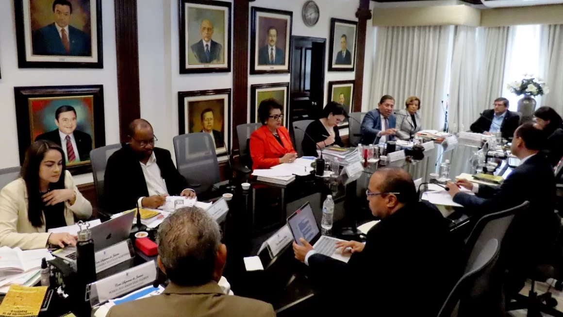 Pleno de magistrados de la CSJ declara inconstitucional las ZEDES en Honduras