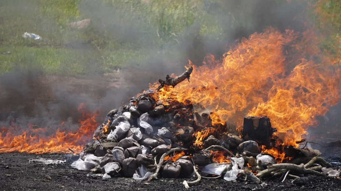 Incineran 334 paquetes de marihuana y dos kilos de cocaina 