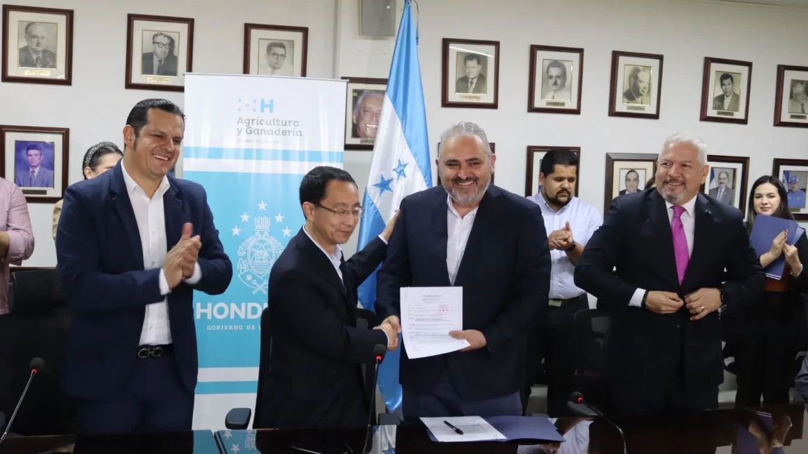 Empresas  hondureñas exportarán 10 mil toneladas de café a China 