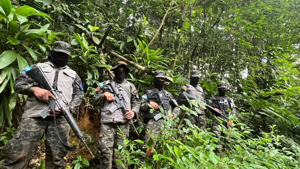 15 mil arbustos de coca y un narcolaboratorio aseguran Fuerzas Armadas en Atlántida 