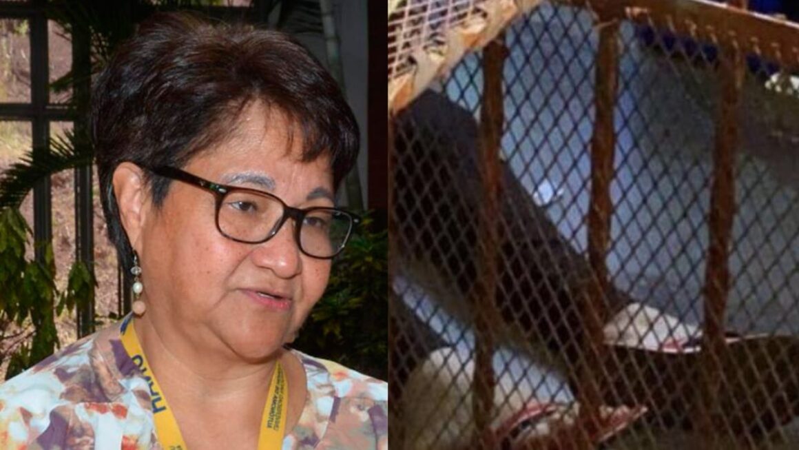 18 mujeres han muerto de forma violenta en lo que va de 2025: OV-UNAH 