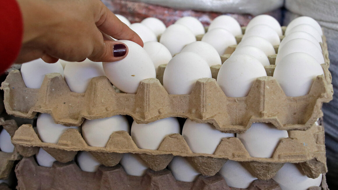 Cinco lempiras incrementó el cartón de huevos en mercados capitalinos 