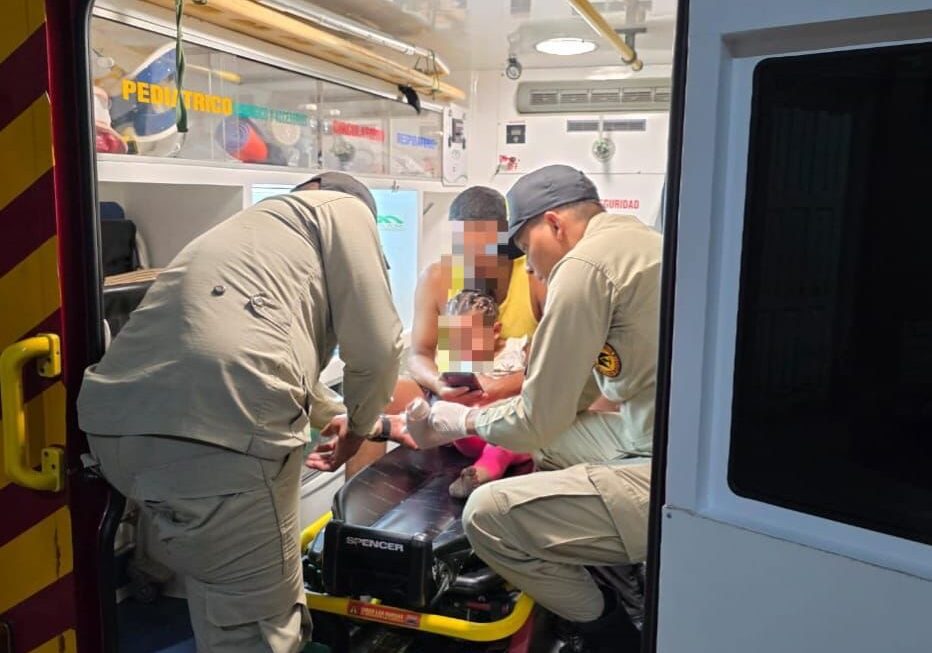 Una menor de dos años fue mordida por serpiente cascabel en Cedros, Francisco Morazán 