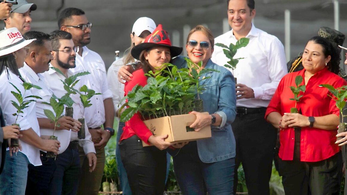 Castro inaugura programa “agrobosque” en Guaimaca para impulsar caficultura