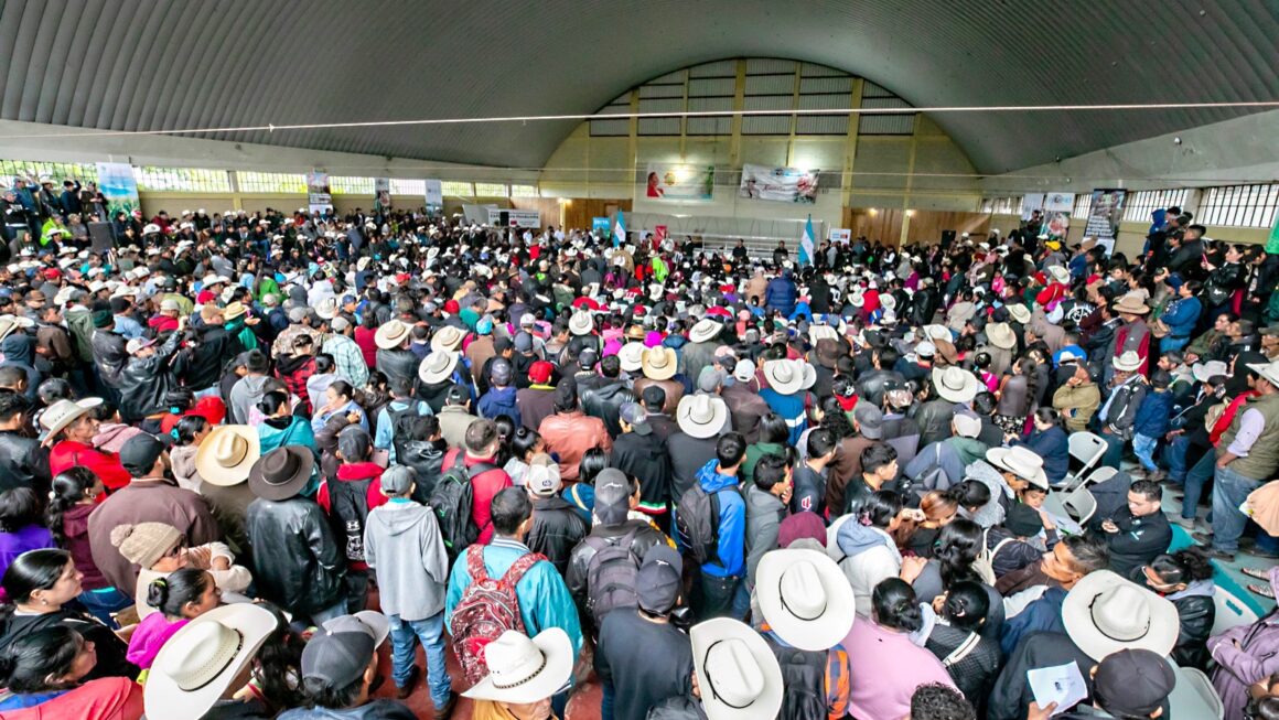 Gobierno entrega insumos a 3,300 productores de café, agro y ganadería en Lepaera, Lempira
