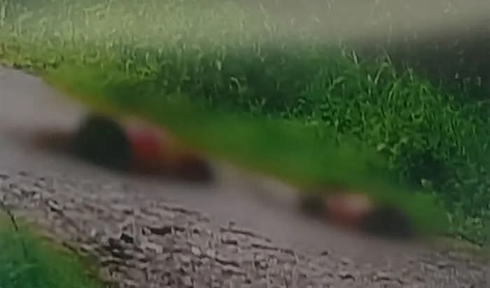 Matan a dos mujeres en Las Lajas, Comayagua