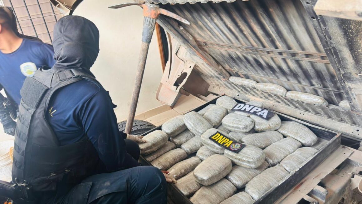 Incautan 240 paquetes de supuesta marihuana en La Unión, Lempira