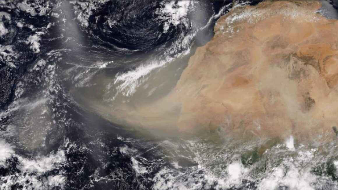 Nube de polvo del Sahara ingresa a Honduras y autoridades brindan recomendaciones 