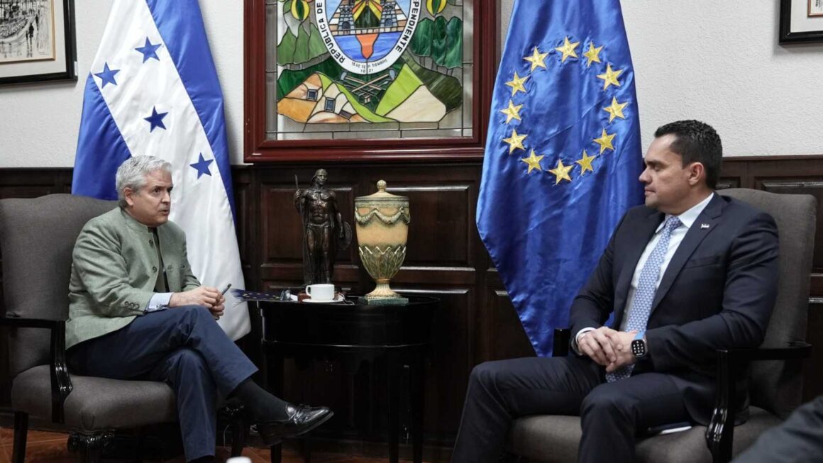 Congreso y Unión Europea analizan inversión energética en Honduras