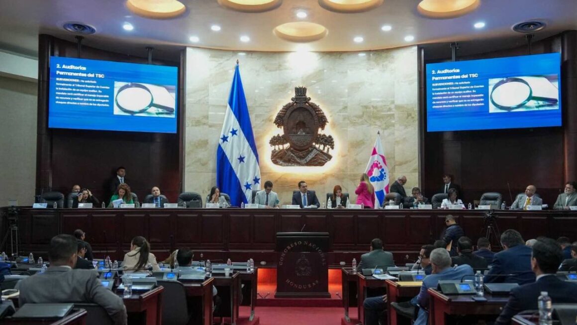 Congreso presenta portal digital para monitorear trabajo de diputados 
