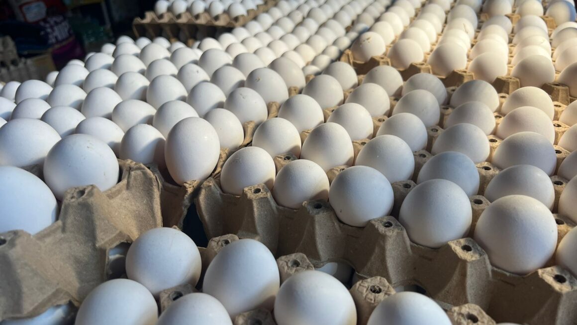 Seis lempiras incrementa precio del cartón de huevos en algunos mercados capitalinos 